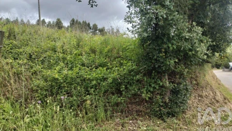 Terreno para Venda em Santo Antonio dos Olivais