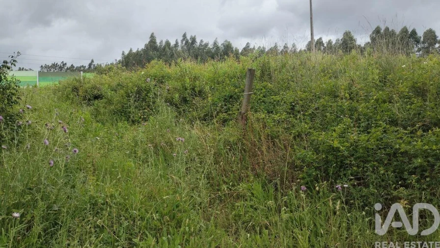 Terreno para Venda em Santo Antonio dos Olivais Foto 7