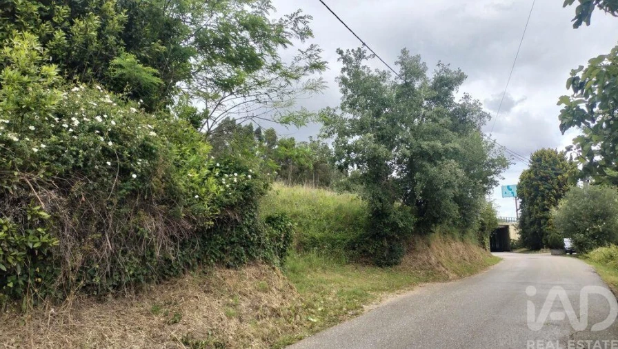 Terreno para Venda em Santo Antonio dos Olivais Foto 20