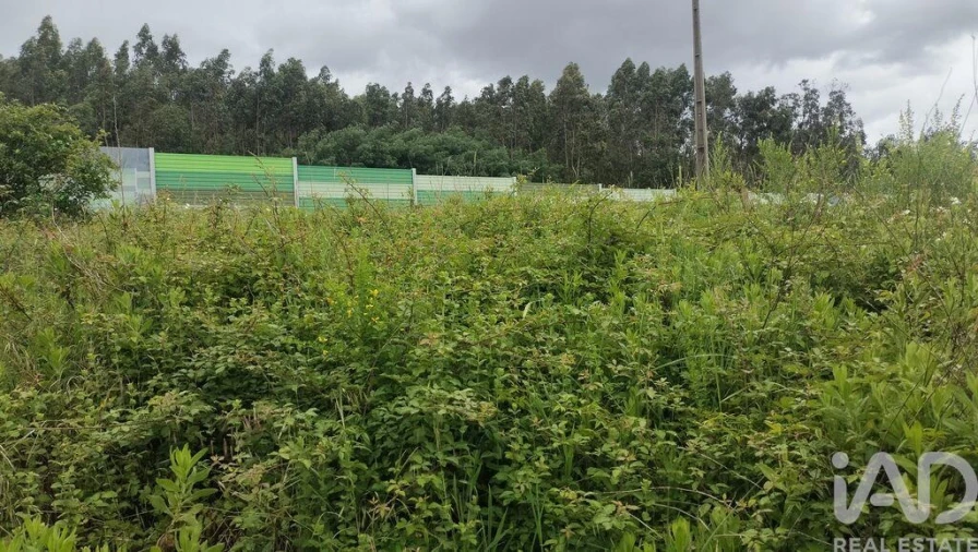Terreno para Venda em Santo Antonio dos Olivais Foto 8