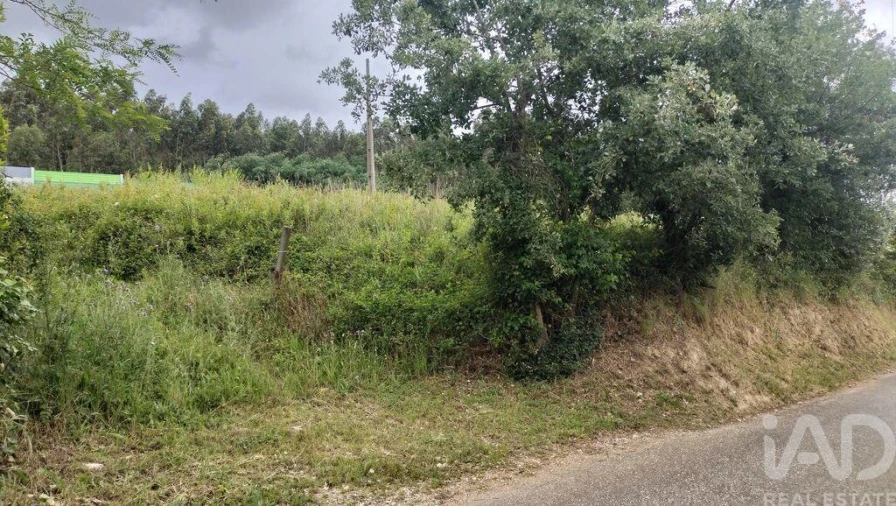 Terreno para Venda em Santo Antonio dos Olivais Foto 17