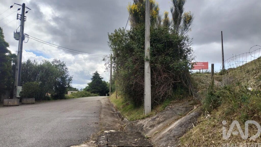 Terreno para Venda em Santo Antonio dos Olivais Foto 26