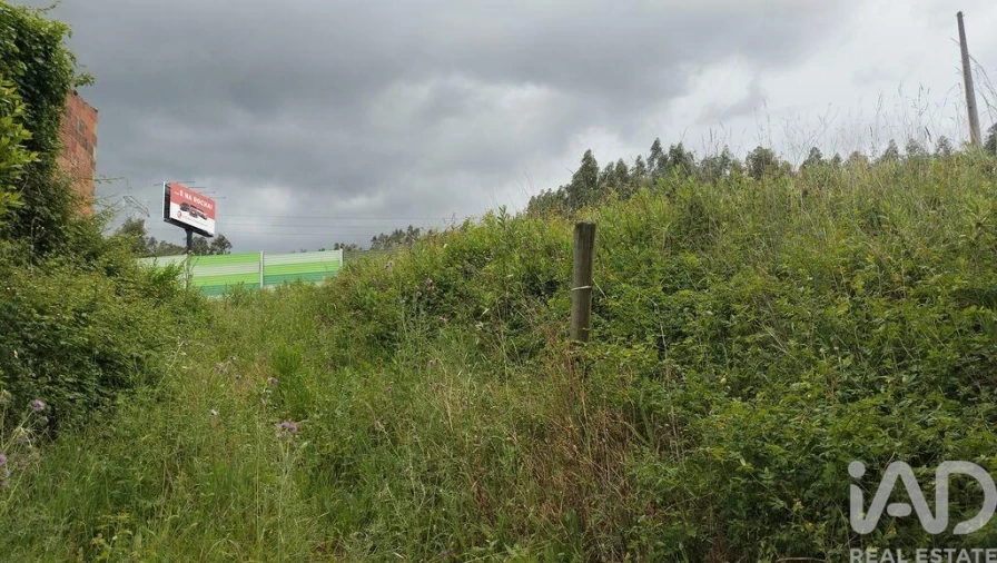 Terreno para Venda em Santo Antonio dos Olivais Foto 16