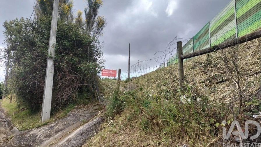 Terreno para Venda em Santo Antonio dos Olivais Foto 25