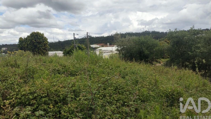 Terreno para Venda em Santo Antonio dos Olivais Foto 14