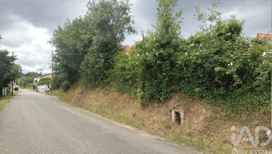 Terreno para Venda em Santo Antonio dos Olivais Foto 22