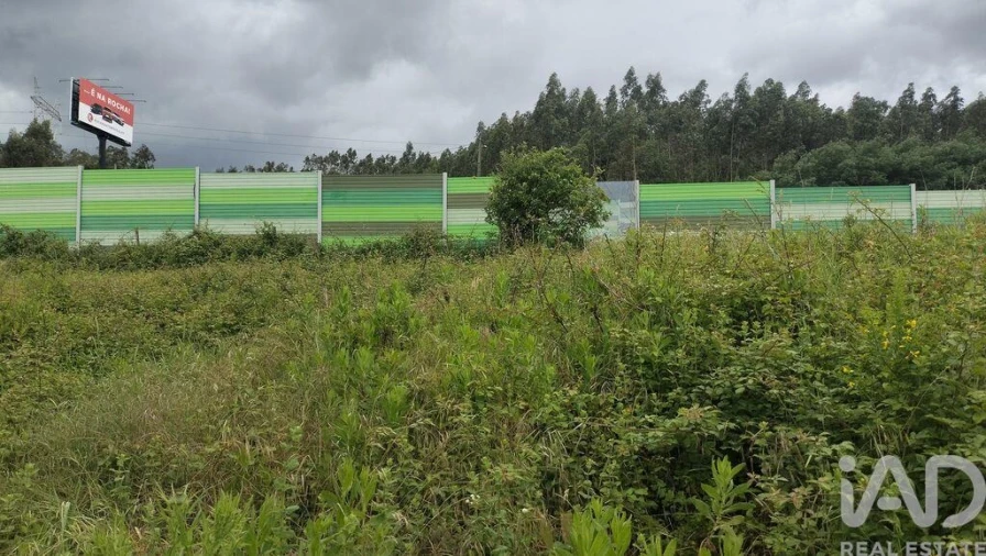 Terreno para Venda em Santo Antonio dos Olivais Foto 9