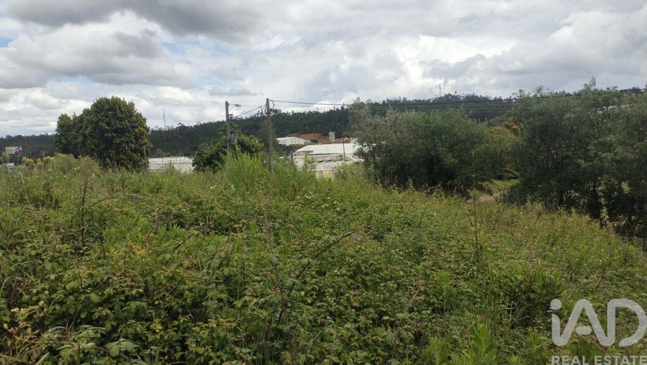 Terreno para Venda em Santo Antonio dos Olivais Foto 14
