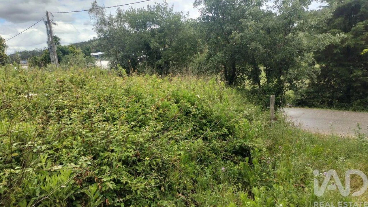 Terreno para Venda em Santo Antonio dos Olivais Foto 11