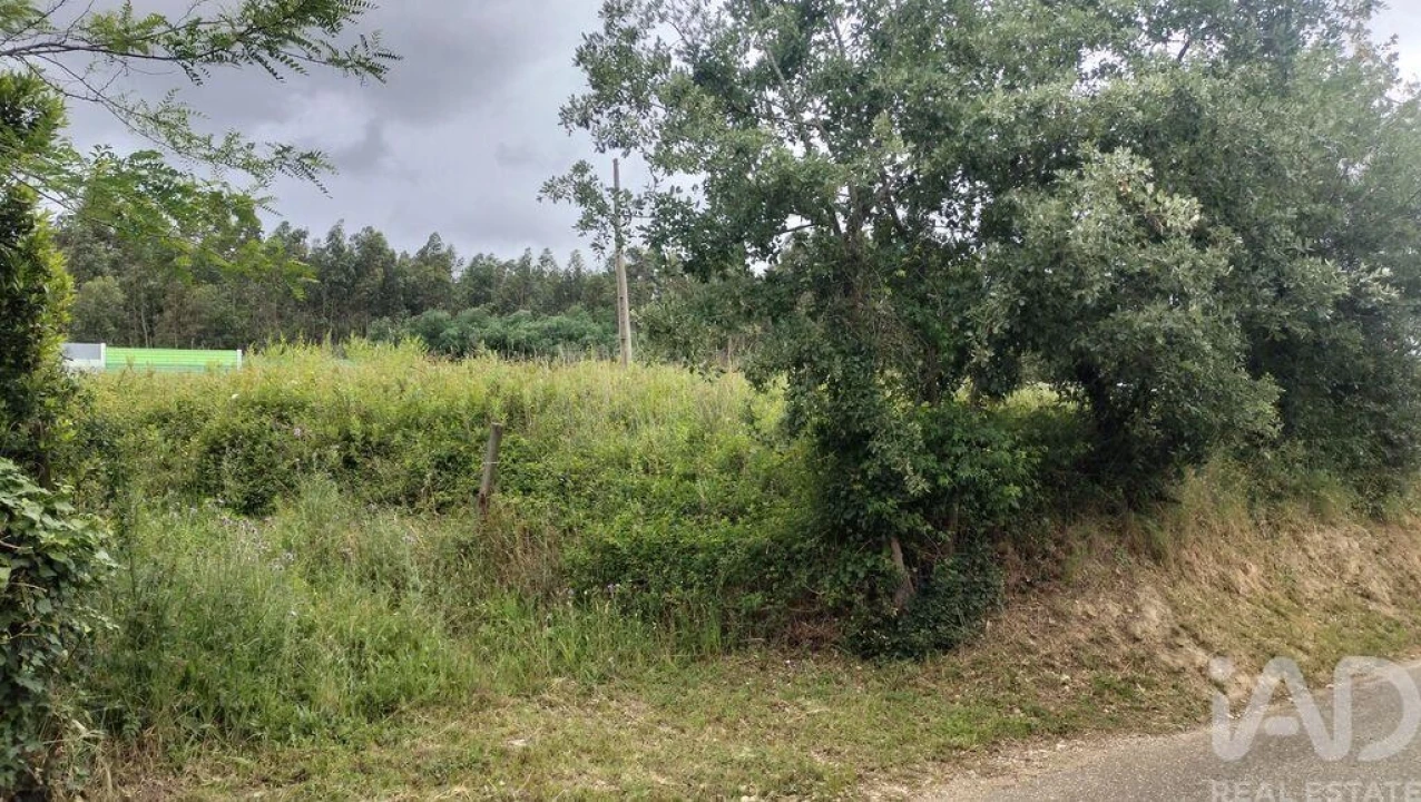 Terreno para Venda em Santo Antonio dos Olivais Foto 18