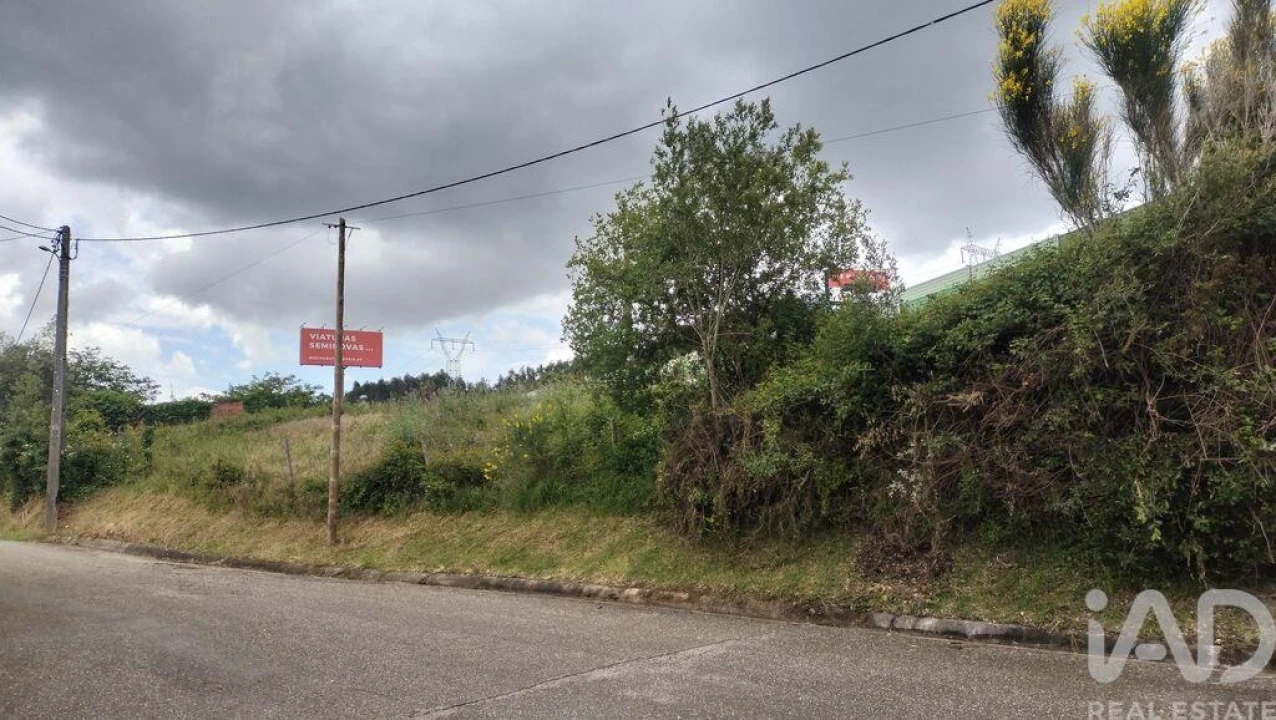 Terreno para Venda em Santo Antonio dos Olivais Foto 29