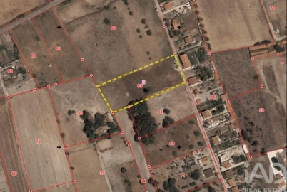 Terreno para Venda em Montijo e Afonsoeiro