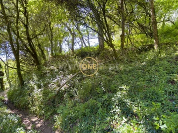 Terreno para Venda em Vilela, Seramil e Paredes Secas