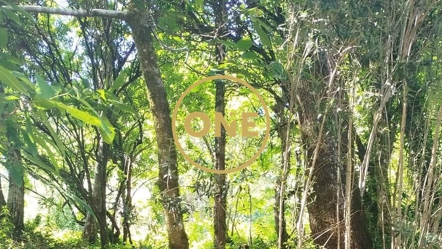 Terreno para Venda em Vilela, Seramil e Paredes Secas