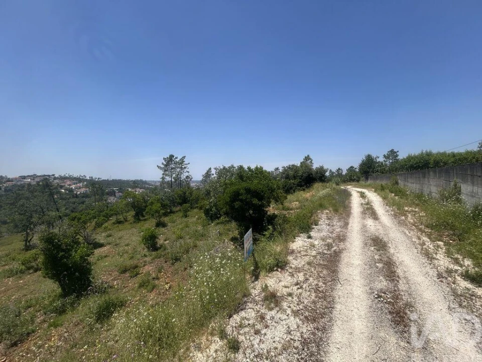 Terreno para Venda em Pombal Foto 11