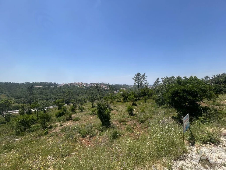 Terreno para Venda em Pombal Foto 10