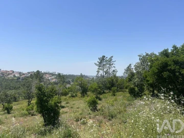 Terreno para Venda em Pombal