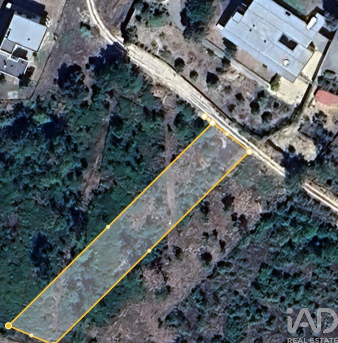 Terreno para Venda em Pombal Foto 12