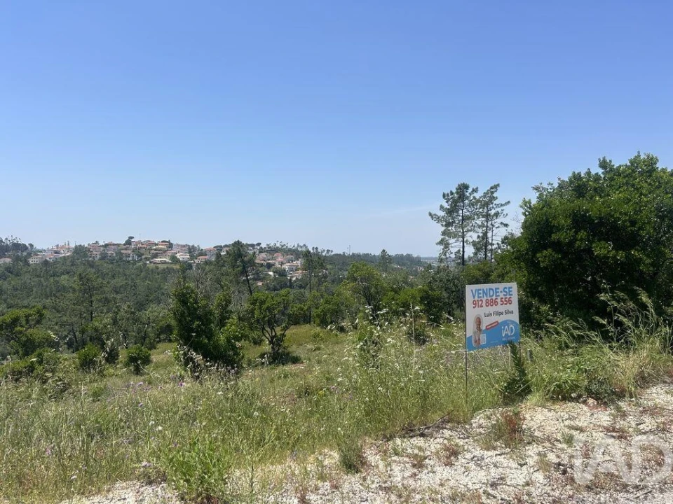 Terreno para Venda em Pombal Foto 6