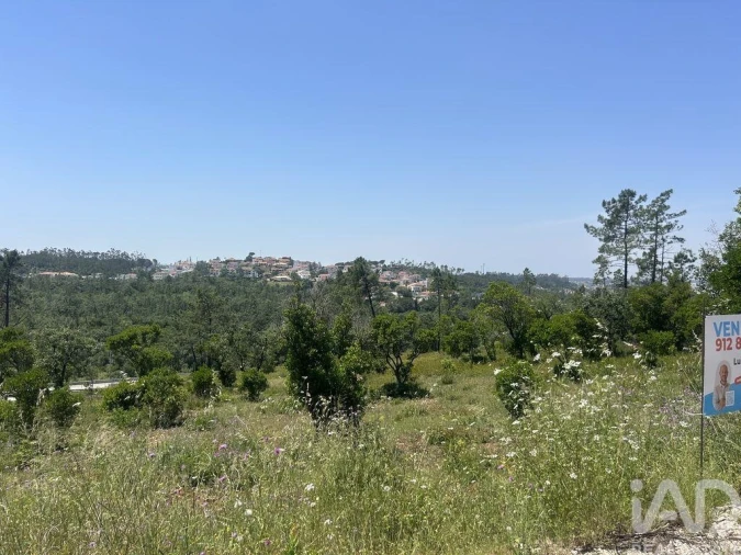 Terreno para Venda em Pombal Foto 7