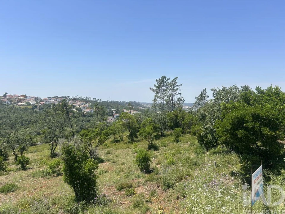 Terreno para Venda em Pombal Foto 9