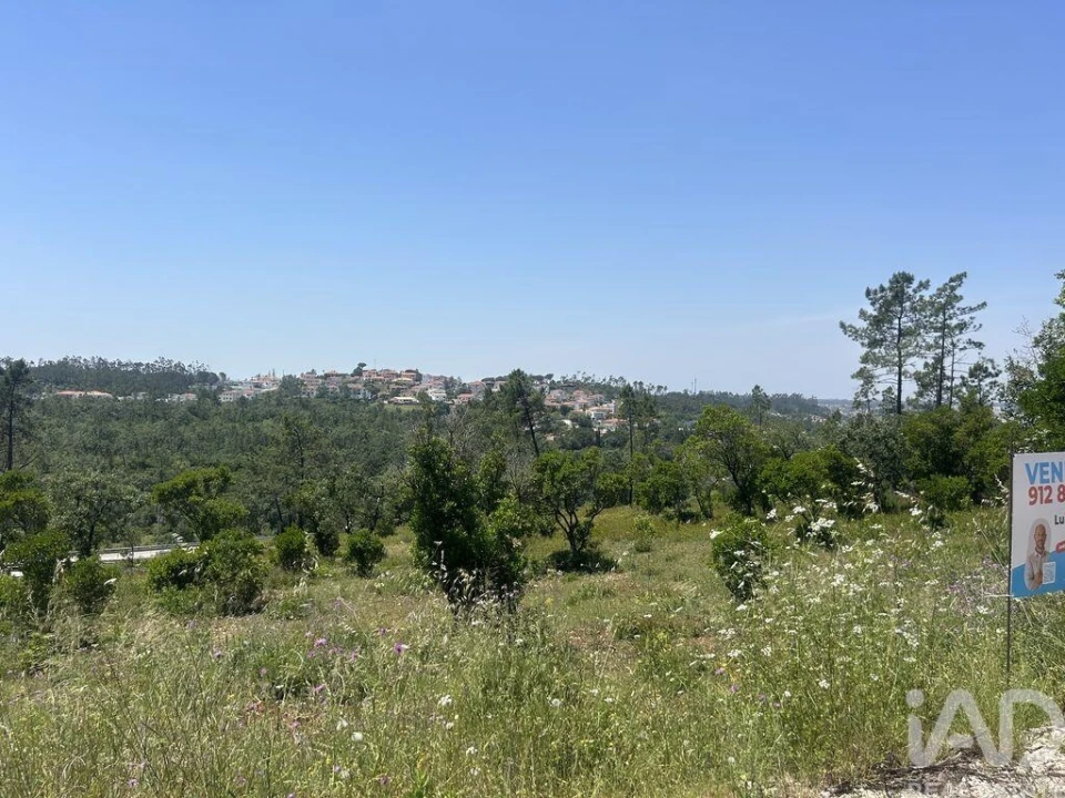 Terreno para Venda em Pombal Foto 7