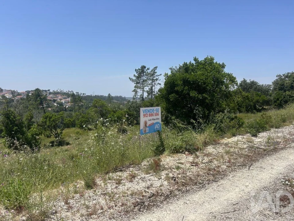 Terreno para Venda em Pombal Foto 5