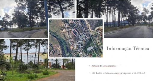 Terreno para Venda em Azeitão (São Lourenço e São Simão)