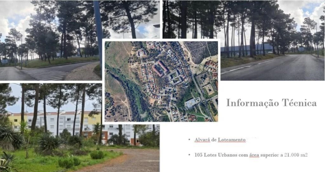 Terreno para Venda em Azeitão (São Lourenço e São Simão) Foto 2