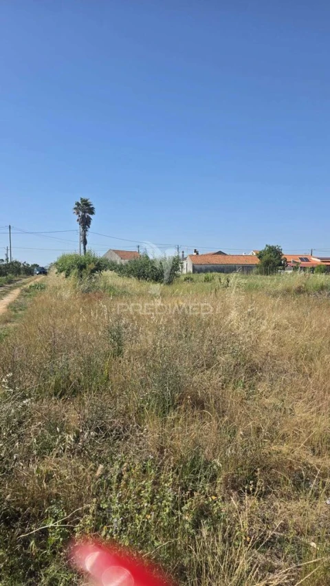 Terreno para Venda em Alcobaça e Vestiaria