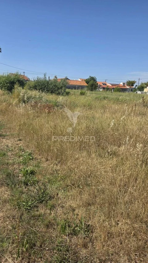 Terreno para Venda em Alcobaça e Vestiaria