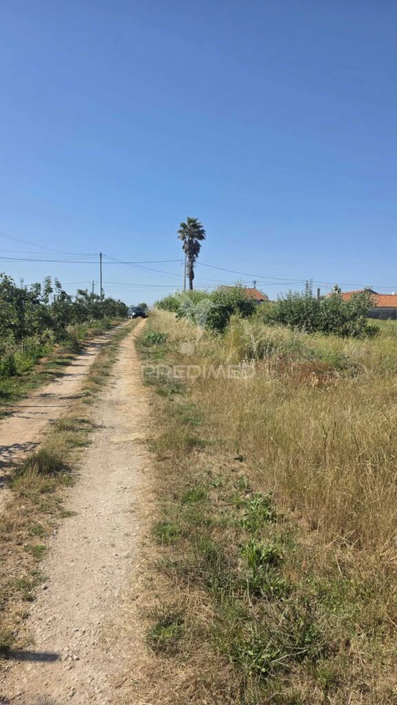 Terreno para Venda em Alcobaça e Vestiaria Foto 1