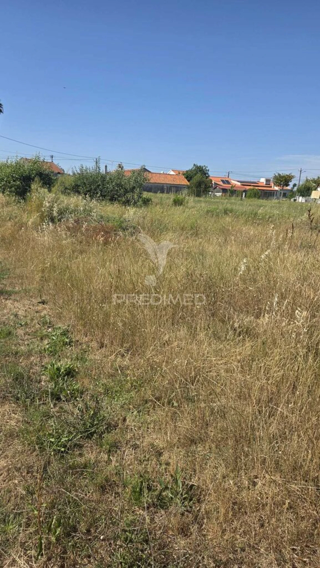 Terreno para Venda em Alcobaça e Vestiaria Foto 3