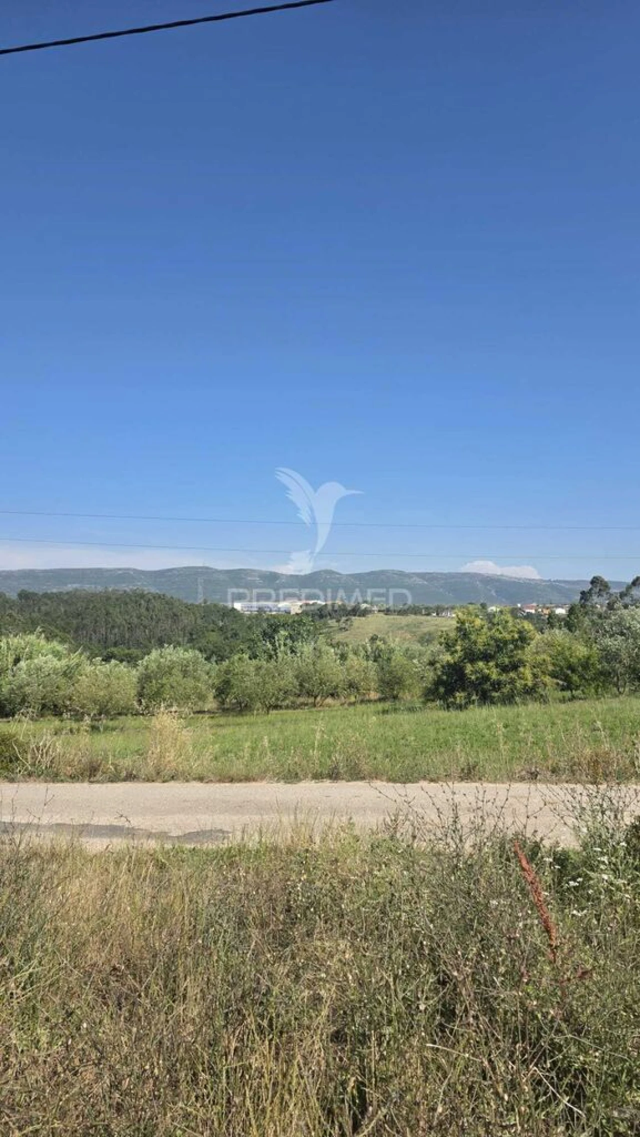 Terreno para Venda em Alcobaça e Vestiaria Foto 2