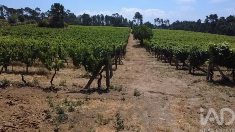 Quinta para Venda em Carvalhal Redondo e Aguieira