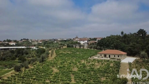 Quinta para Venda em Carvalhal Redondo e Aguieira