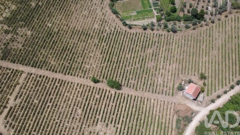 Quinta para Venda em Carvalhal Redondo e Aguieira