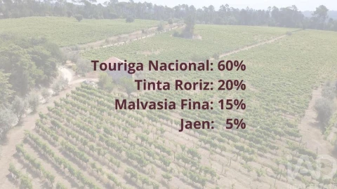 Quinta para Venda em Carvalhal Redondo e Aguieira