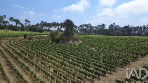 Quinta para Venda em Carvalhal Redondo e Aguieira