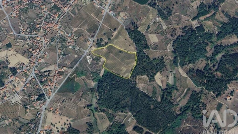 Quinta para Venda em Carvalhal Redondo e Aguieira
