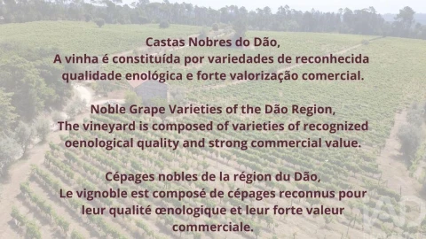 Quinta para Venda em Carvalhal Redondo e Aguieira
