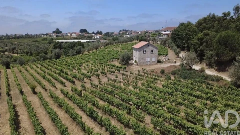 Quinta para Venda em Carvalhal Redondo e Aguieira