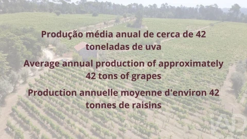 Quinta para Venda em Carvalhal Redondo e Aguieira