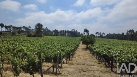 Quinta para Venda em Carvalhal Redondo e Aguieira