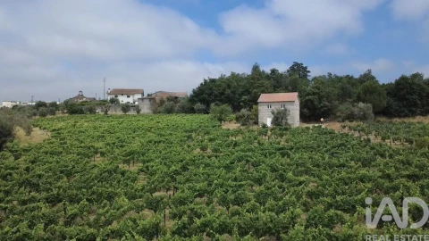 Quinta para Venda em Carvalhal Redondo e Aguieira