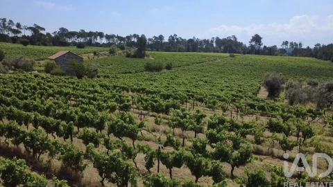 Quinta para Venda em Carvalhal Redondo e Aguieira