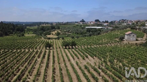 Quinta para Venda em Carvalhal Redondo e Aguieira