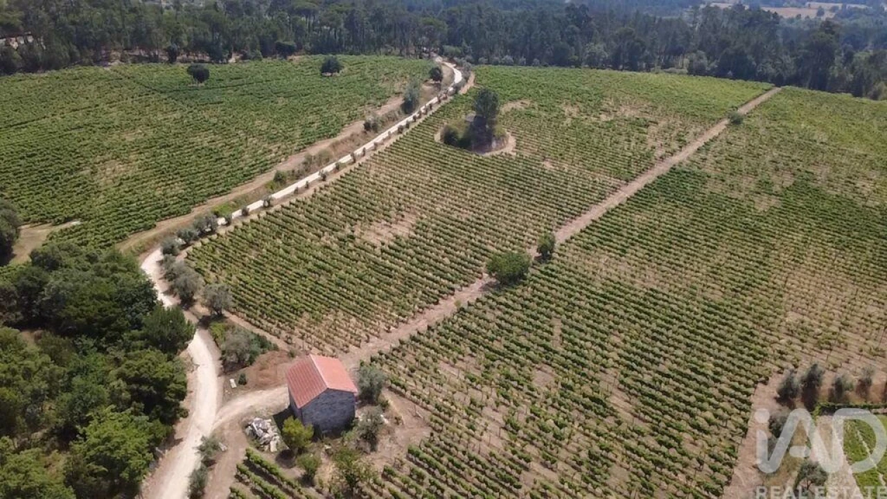 Quinta para Venda em Carvalhal Redondo e Aguieira Foto 1