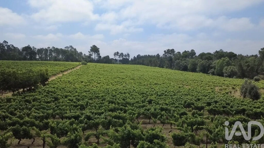 Quinta para Venda em Carvalhal Redondo e Aguieira Foto 12