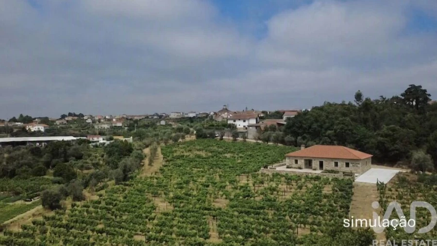 Quinta para Venda em Carvalhal Redondo e Aguieira Foto 4